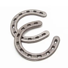 Anxingo Good Lucky Cast Iron Horseshoe Wall Decor Cast Iron Horseshoe Ornamen...