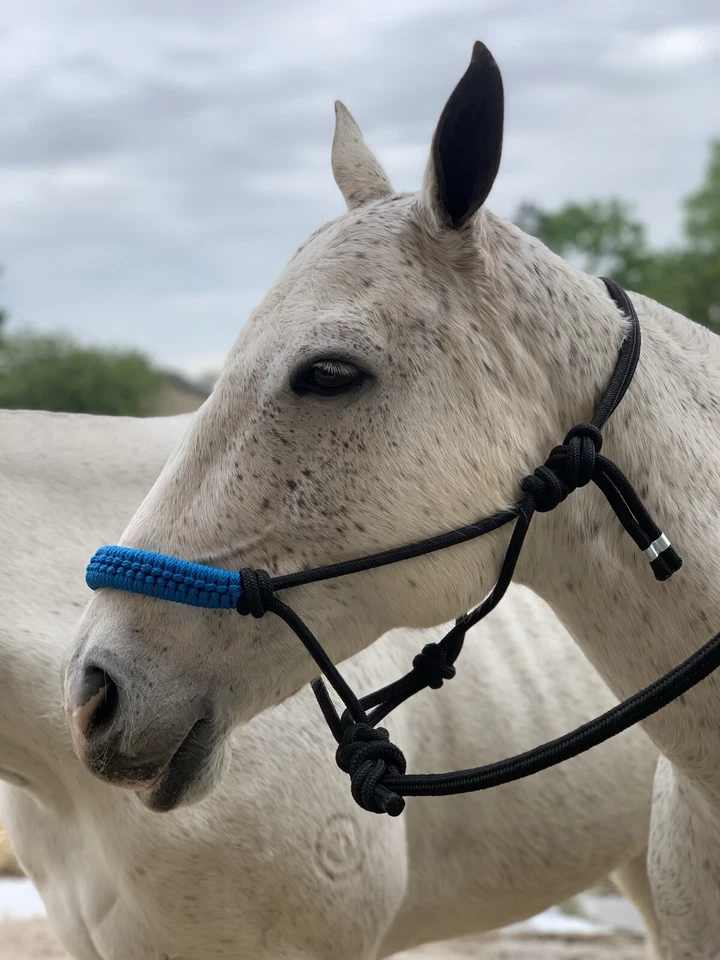 Handmade Rope Headcollars  - Image 3 of 4