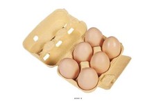 Oeufs de poule artificiel en Plastique soufflé L 150x110 mm