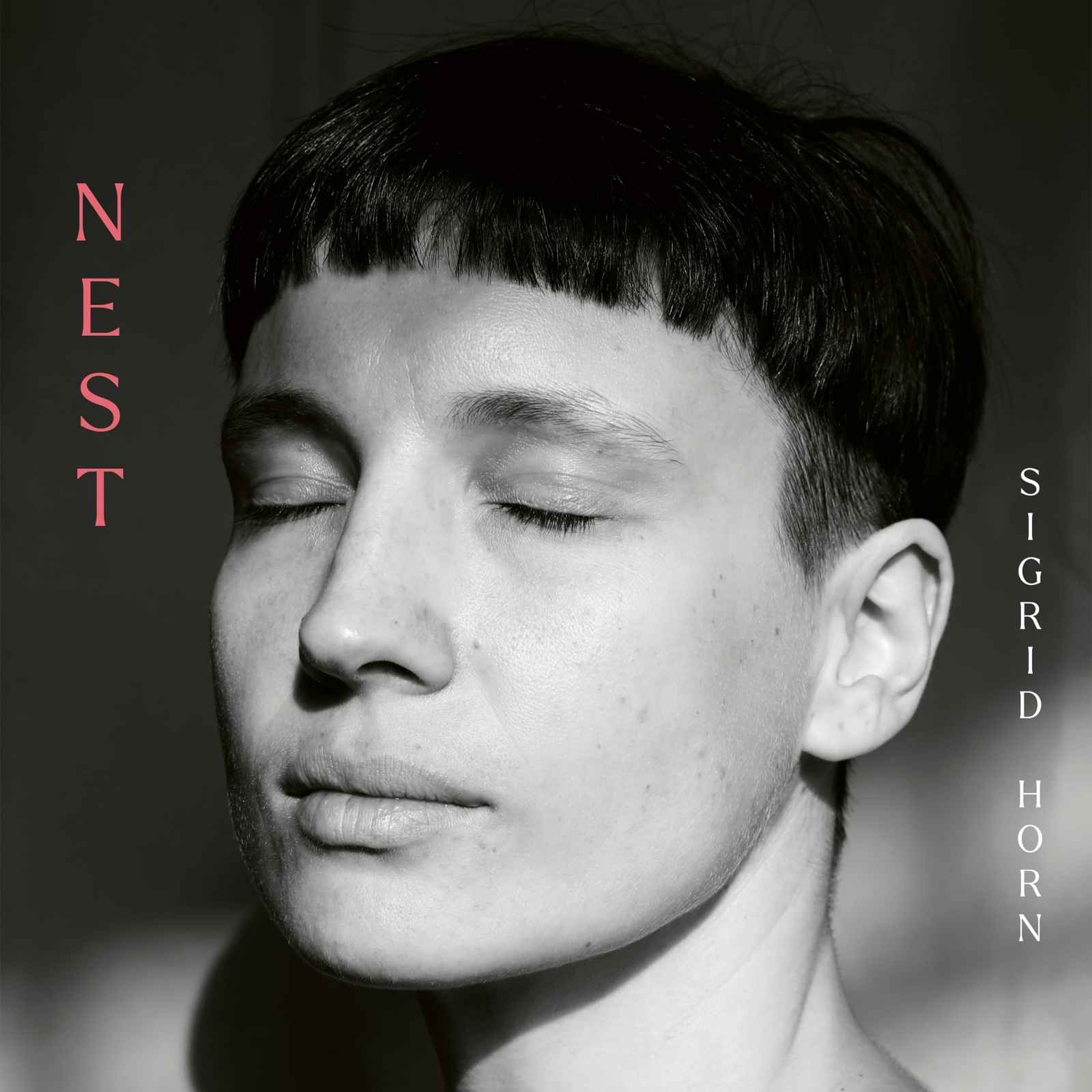 Horn, Sigrid Nest (CD)