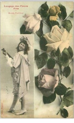 LES LANGAGES.n°63.LE LANGAGE DES FLEURS.ROSE.BEAUTE, FRAICHEUR