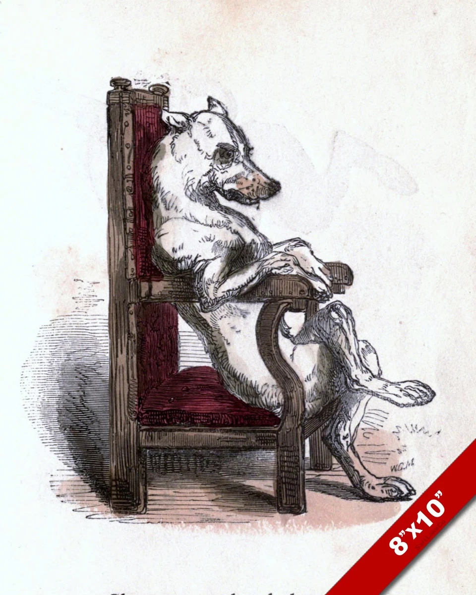 SOPHISTICATED DOG SITTING IN A THRONE CHAIR ART PAINTING PRINT ON
