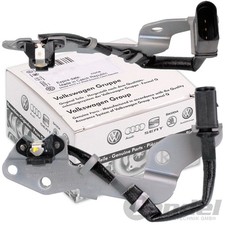 Originale VW Albero a Camme per Audi A3 8L A4 B5 Golf 4 Sharan Polo 9N Gti