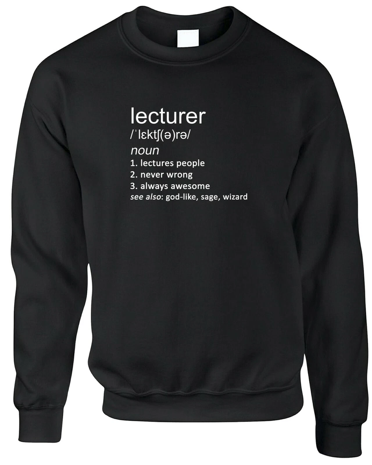 Lecturer Definition Mens Sweatshirt Funny Joke Gift University Teacher Lecture