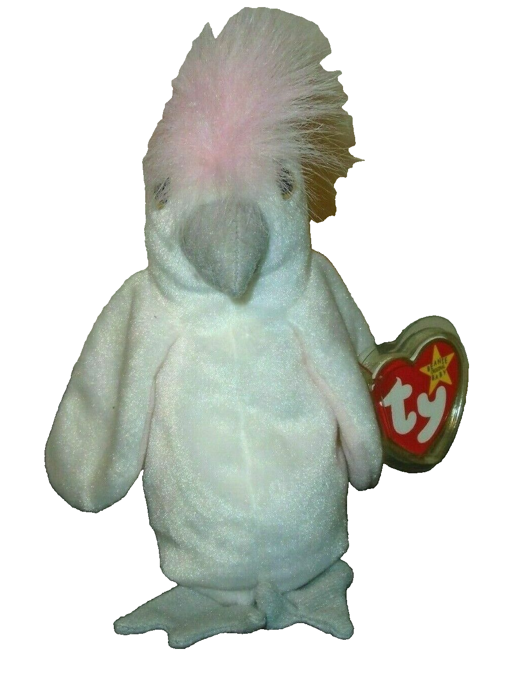 Bild 9 von 9