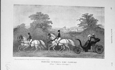 Original Old Antique Print 1905 Princess Victoria'S Pony Carriage Transport