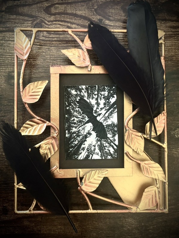 ACEO Original Ink Drawing "In The Sky" By Maria Cecilla Ravenwood Art (2.5 x3.5)