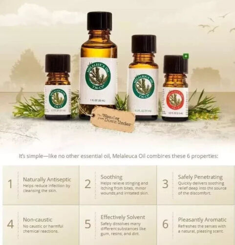 Melaleuca Teebaumöl Antiseptikum T36-C5 30ml (1,0 Flüssigunzen) x 5 - Bild 3 von 6