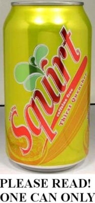 Phoenix Arizona Li'l Squirt Citrus Grapefruit Soda USA 2011 FULL 12oz Since 1938