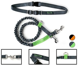 3 foot leash