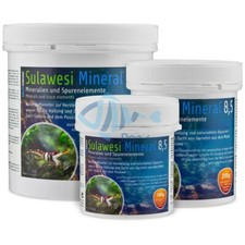Salty Shrimp Sulawesi Shrimp 8.5 Minerals and Trace Elements Shrimp Tank