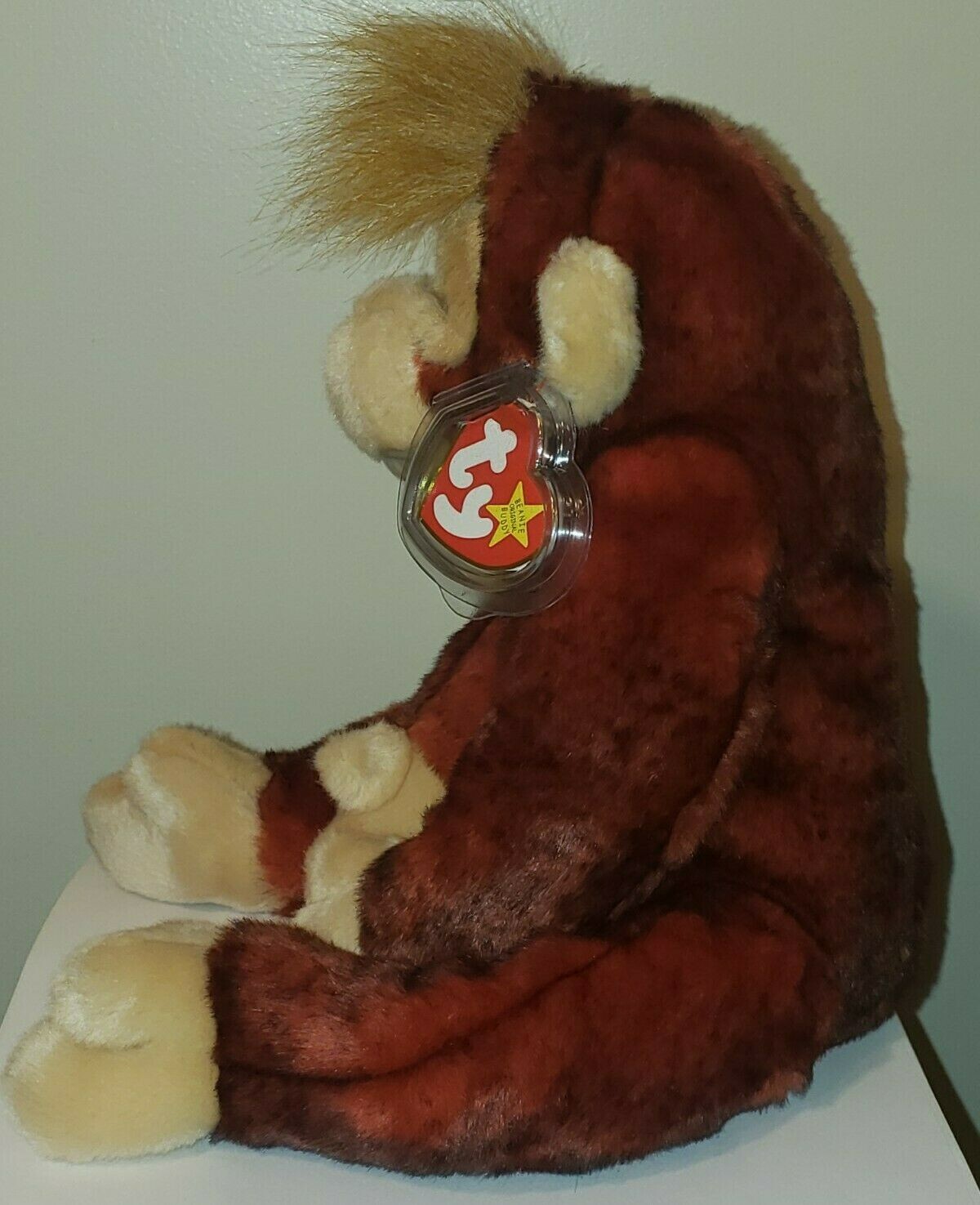 Bild 2 von 10