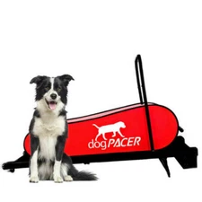 dogPACER LF 3.1 Treadmill for Dog
