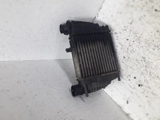 RENAULT CLIO III BR0/1, CR0/1 Ladeluftkühler 1.50 Diesel 63kw 2006 17445264