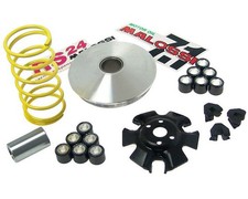 Variomatik MALOSSI Multivar Rotax kompatibel für APRILIA Leonardo 125 150 Tuning