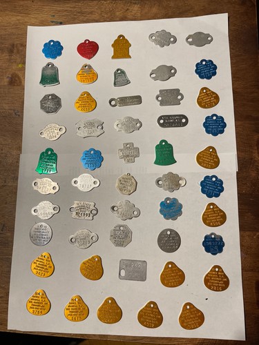 50 dog tags for dogs NY NJ