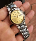 Seiko Vintage Golden Auto Ultra Rare Retro Sunburst Smooth Dial 7S26 JDM OEM SS