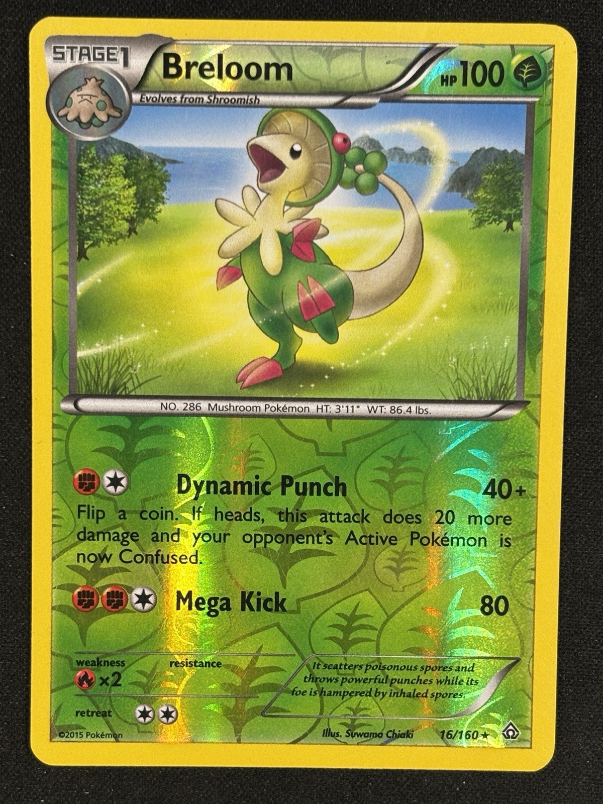 Pokémon - Breloom 16/160 - Primal Clash Reverse Holo - LP