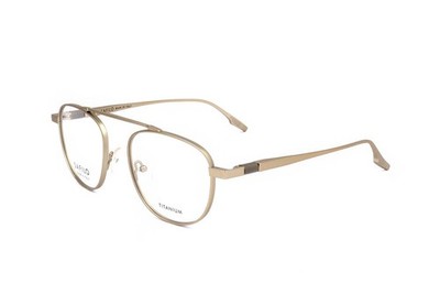 Safilo REGISTRO 03  BRONZE 53/19/145 Herren Brillen