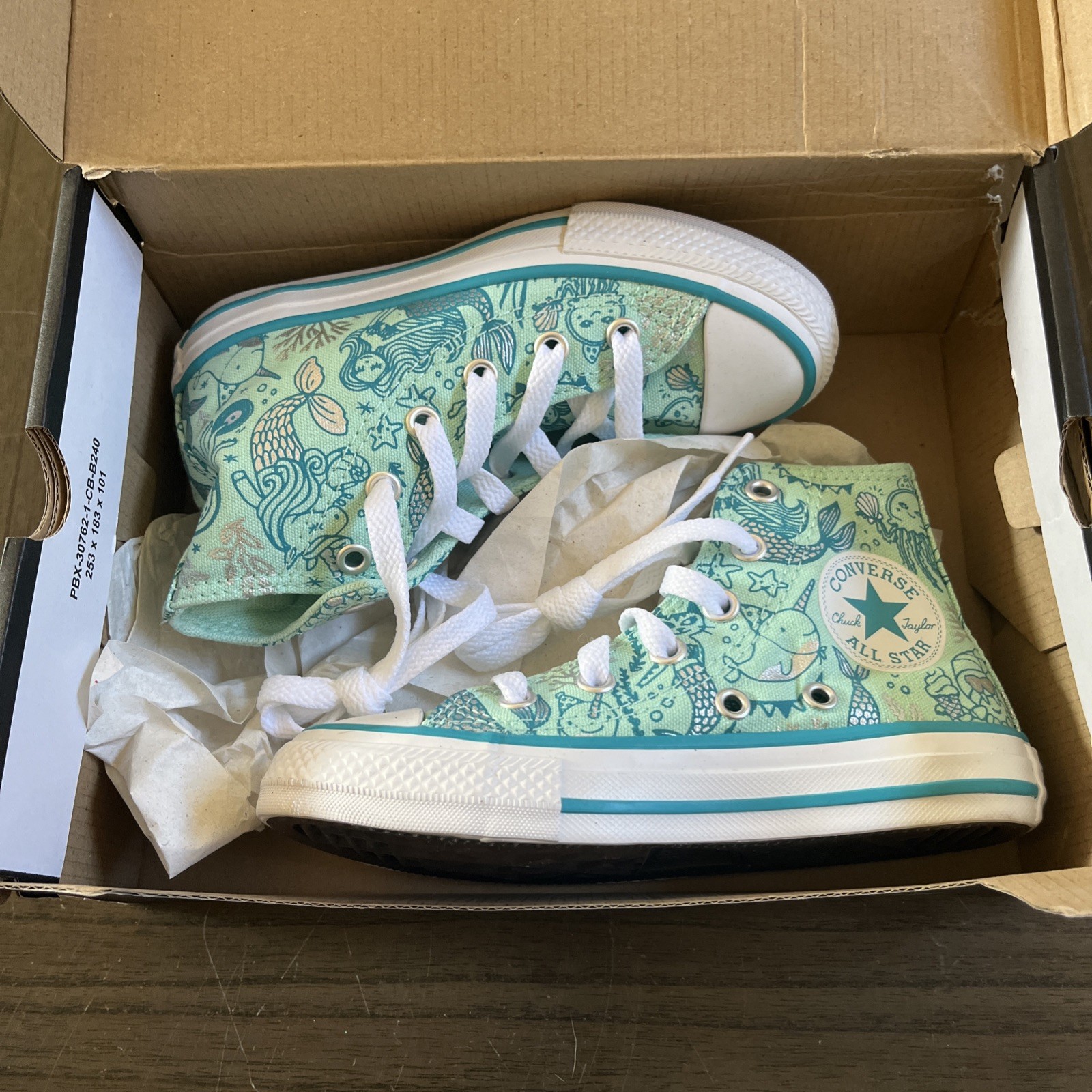 Converse Chuck Taylor NIB Girls Size 11 US