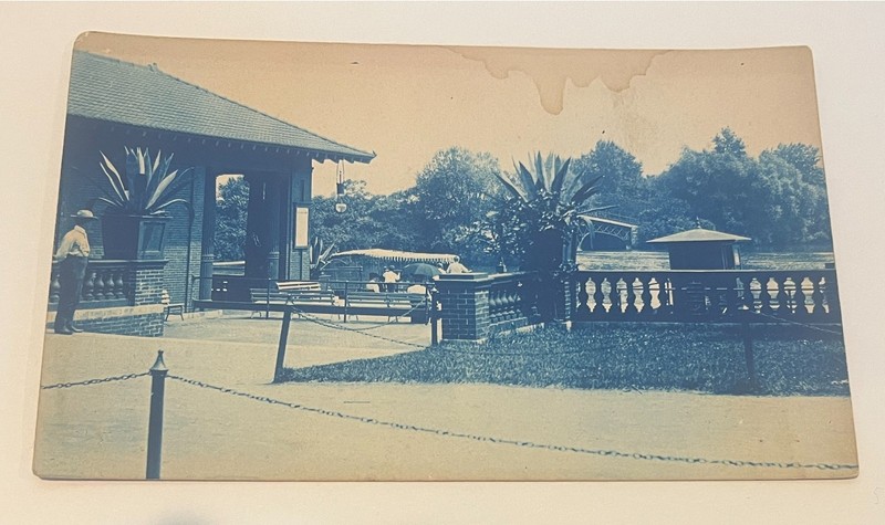 Cyanotype Postcard Pavilion Palm Tree Undivided Back Post Card