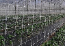 RETE PER RAMPICANTI SOSTENGREEN HL.120 ROT.  ML.100   DF 6067387