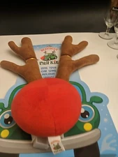 Reindeer Car Kit