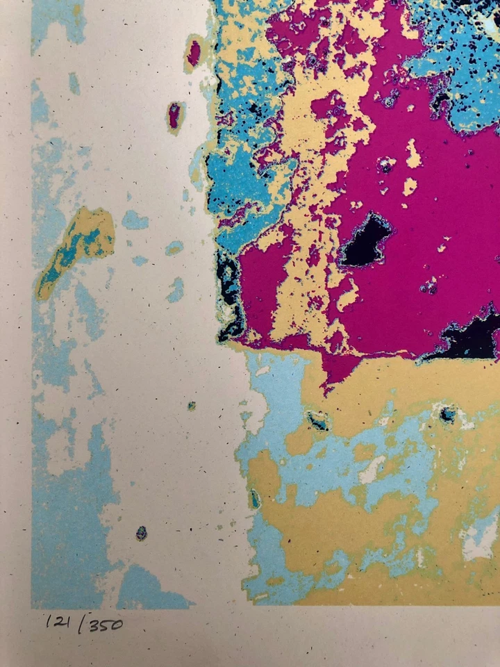 Shepard Fairey - Impresión Rosa Desintegración Mejorada Edición Limitada 121/350 Foto 4 de 4