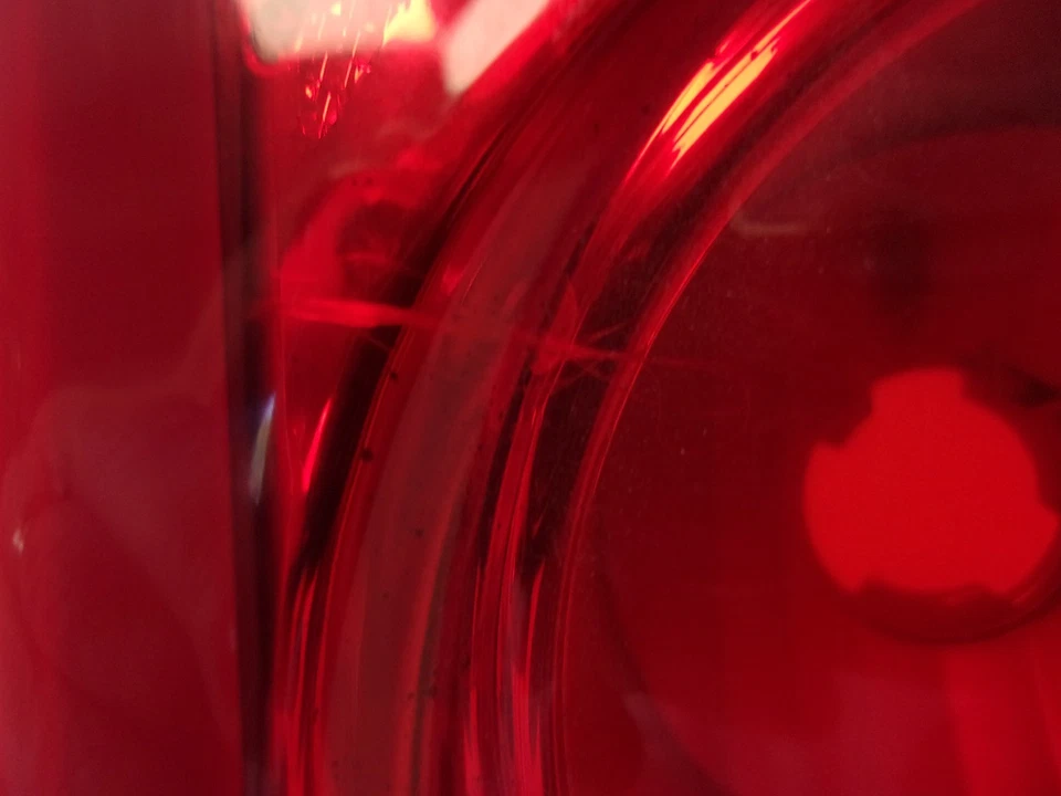 Luz trasera derecha para pasajero Dodge Dakota 2005-2011 de Eagle Eye Foto 3 de 4