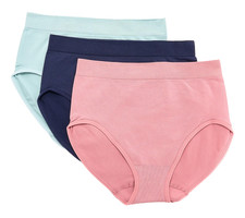 Breezies Set of 3 Shimmer Stripe Seamless Briefs Large Adobe Rose A656724 12885