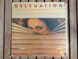 Delegation the Promise of Love | eBay