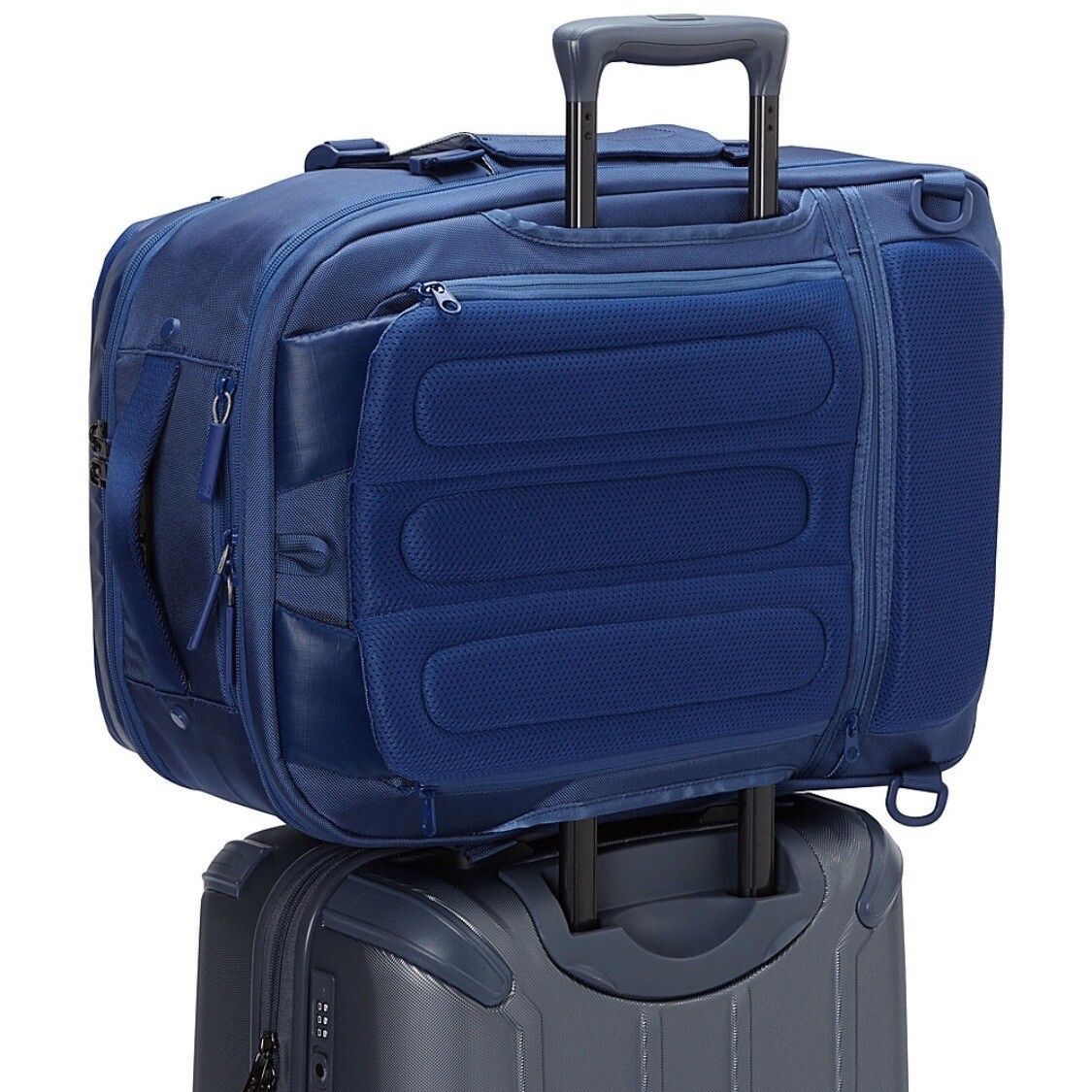speck travel backpack