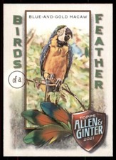 2021 TOPPS ALLEN & GINTER BLEU AND GOLD MACAW BIRDS OF A FEATHER #BOF-4