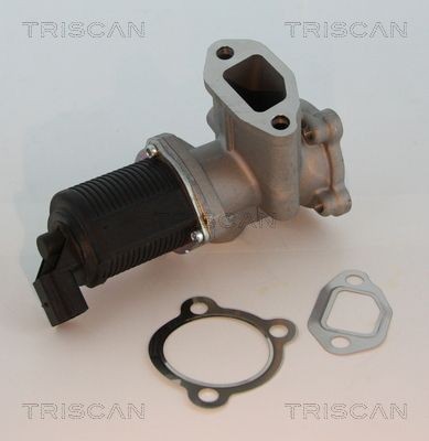 Triscan Agr-Ventil 8813 10003 FüR Alfa Romeo Fiat Lancia Opel-image