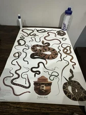 Vintage Snakes Alive Smokey The Bear Forest Poster 20 X 30” Reptiles