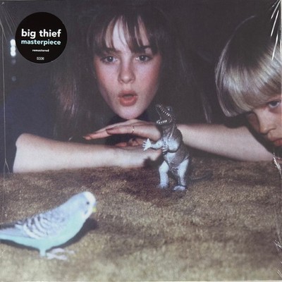 【新品未開封】【レコード】Big Thief Masterpiece s-l400.jpg