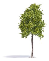 Busch 3791 Platane 170 Mm, FrüHling H0