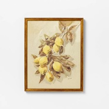 16"x20" Lemons Vintage Framed Wall Art Designed by Threshold & Studio McGee