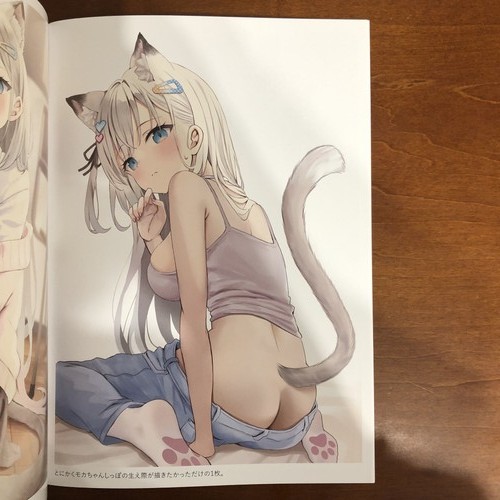 Mofu-Rhythmus Akino El Anciel Kunst Buch Illustration - Bild 14 von 24