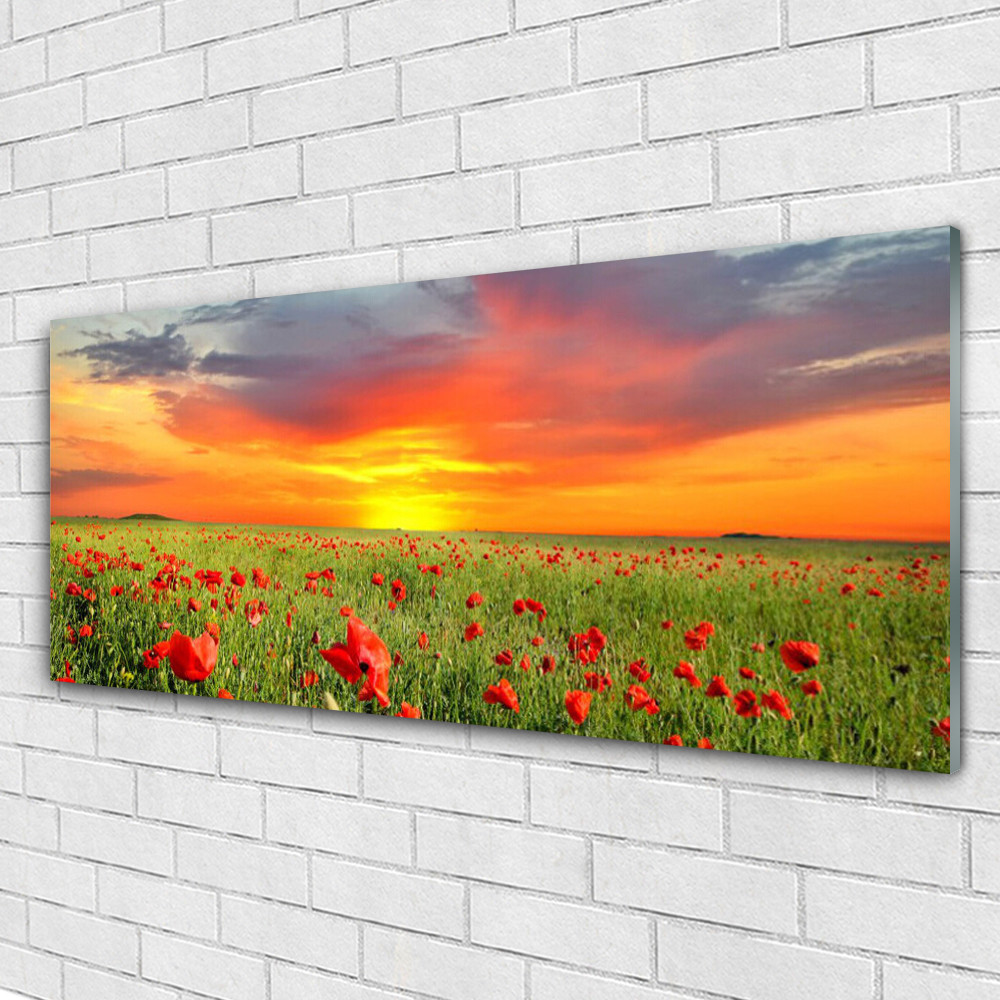 Tableau Coquelicots Nature Impression sur verre 125x50 cm décoration murale