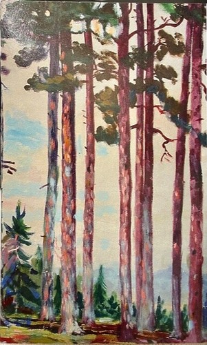 Furuly - Shelter in the Pines by Solvei Lewann Sotnak (Paperback) SIGNED - 第 2/4 張圖片
