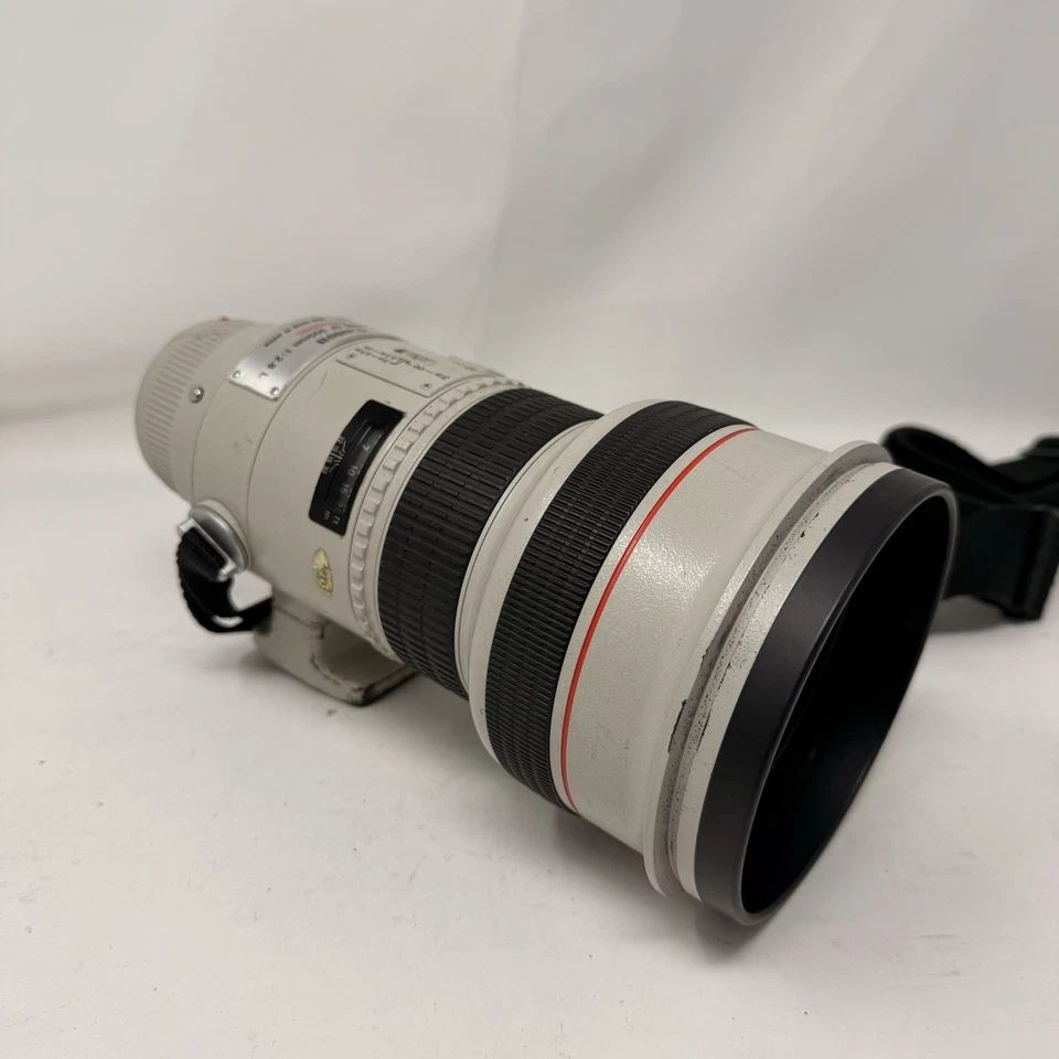 Lente Canon EF 300 mm f/2,8 L USM Len con estuche Foto 3 de 4