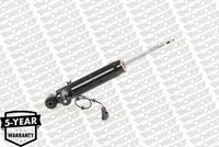 Monroe C1506S StoßDäMpfer Hinten FüR Ford