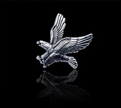 Adler Pin, Anstecknadel, Silber, klein, Biker, Sammler