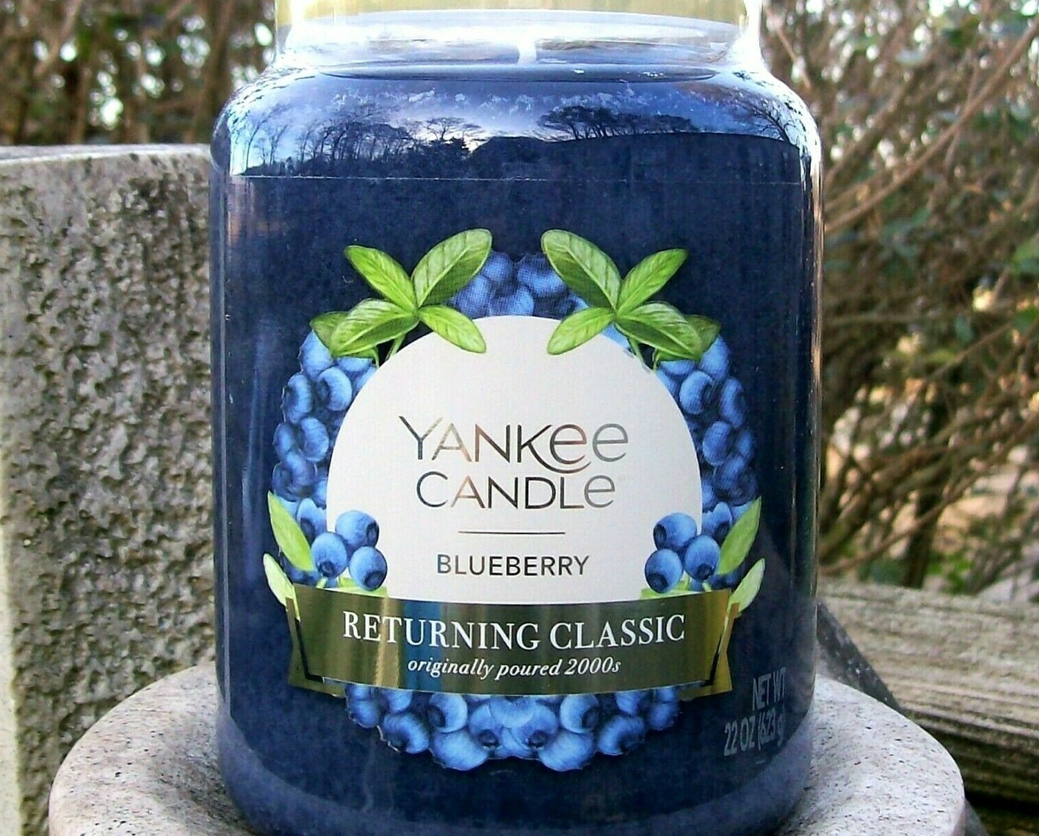 Yankee Candle "BLUEBERRY" 50th ANNIVERSARY Fruit Large 22 oz WHITE