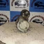 Foto 3 di 21
