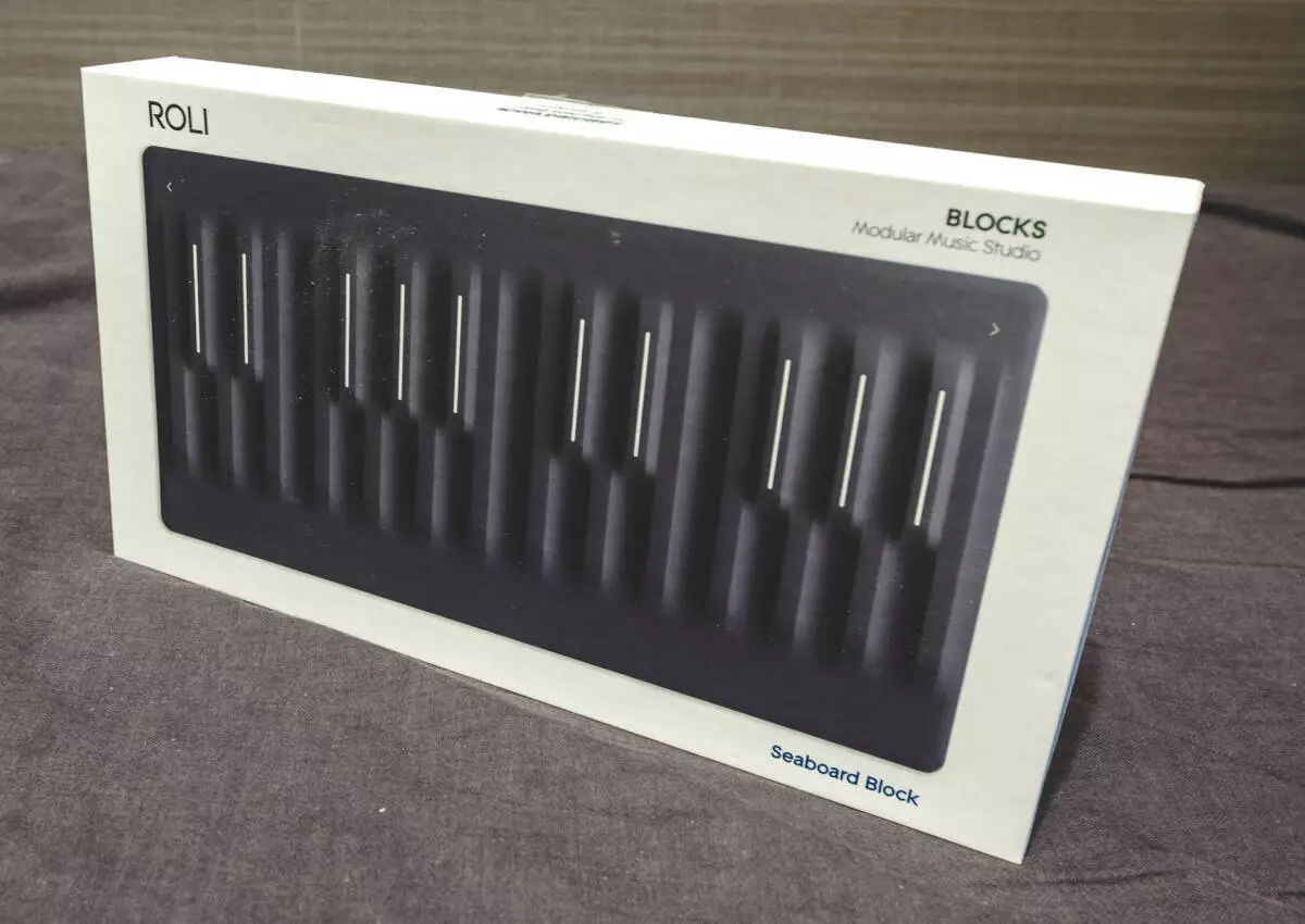 Roli seaboard block ebay online