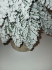 Picture 6 of 6
