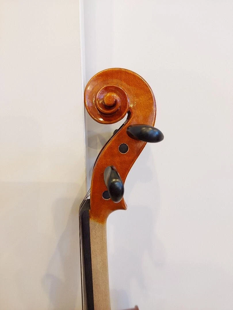 Andreas Eastman Violin VL100 1/2 w/Hard Case | eBay