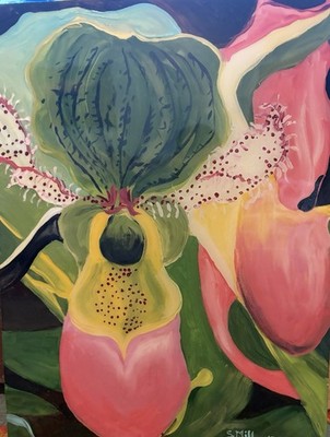 Lady Slipper, Orchid, Pink
